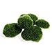 foto Xuniu 5 Pezzi Artificiale Verde Muschio Pietra Finta Roccia Micro Accessori Arredamento Paesaggio nuovo bestseller 2024-2023