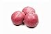 Photo Seed Potatoes for Planting Russet - 5 lb new bestseller 2024-2023