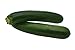 Photo Black Beauty Zucchini Seeds - Non-GMO - 7 Grams, Approximately 60 Seeds new bestseller 2024-2023