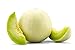 Photo Honeydew Melon Green Flesh, 30 Heirloom Seeds Per Packet, Non GMO Seeds, Botanical Name: Cucumis melo L., Isla's Garden Seeds new bestseller 2024-2023