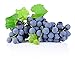 Photo Homegrown Non GMO Grape Seeds, Bulk Seeds, Concord (20) new bestseller 2024-2023
