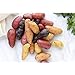 Photo Simply Seed - 10 Piece - Fingerling Potato Seed Mix - Non GMO - Naturally Grown - Order Now for Spring Planting new bestseller 2024-2023