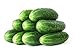 Photo 50 Straight Eight Cucumber Seeds - Heirloom Non-GMO USA Grown Vegetable Seeds for Planting - Pickling and Slicing Cucumber new bestseller 2024-2023