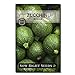 Photo Sow Right Seeds - Round Zucchini Seed for Planting - Non-GMO Heirloom Packet with Instructions to Plant a Home Vegetable Garden - Great Gardening Gift (1) new bestseller 2024-2023