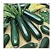 Photo David's Garden Seeds Zucchini Black Beauty 1454 (Green) 50 Non-GMO, Heirloom Seeds new bestseller 2024-2023