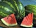 Photo Watermelon, Jubilee , Heirloom, 20 Seeds, Large, Sweet N Delicious new bestseller 2024-2023