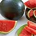 Photo Watermelon, Black Diamond, Heirloom, 50 Seeds, Super Sweet Round Melon new bestseller 2024-2023