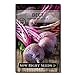 Photo Sow Right Seeds - Detroit Dark Red Beet Seed for Planting - Non-GMO Heirloom Packet with Instructions to Plant a Home Vegetable Garden - Great Gardening Gift (1) new bestseller 2024-2023