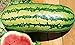 Photo 25 Garrisonian Watermelon Seeds | Non-GMO | Heirloom | Instant Latch Fresh Garden Seeds new bestseller 2024-2023