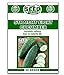 Photo Straight Eight Cucumber Seeds - 50 Seeds Non-GMO new bestseller 2024-2023