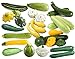 Photo This is a Mix!!! 50+ Zucchini and Squash Mix Seeds 12 Varieties Non-GMO Delicious Grown in USA. Rare, Super Profilic new bestseller 2024-2023
