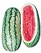 Photo Burpee Georgia Rattlesnake Watermelon Seeds 100 seeds new bestseller 2024-2023