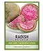 Photo Watermelon Radish Seeds for Planting - Heirloom, Non-GMO Vegetable Seed - 2 Grams of Seeds Great for Outdoor Spring, Winter and Fall Gardening by Gardeners Basics new bestseller 2024-2023
