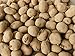 Photo 5 Lbs Yukon Gold Seed Potatoes - USA Non-GMO Certified Potato TUBERS SPUDS new bestseller 2024-2023