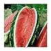 Photo David's Garden Seeds Fruit Watermelon Allsweet 1429 (Red) 50 Non-GMO, Heirloom Seeds new bestseller 2024-2023