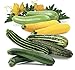 Photo Seeds4planting - Seeds Zucchini Courgette Squash Summer Mix 35 Days Fast Heirloom Vegetable Non GMO new bestseller 2024-2023