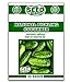Photo National Pickling Cucumber Seeds - 50 Seeds Non-GMO new bestseller 2024-2023