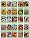 Photo 25 Slightly Assorted Flower Seed Packets - Includes 10+ Varieties - May Include: Forget Me Nots, Pinks, Marigolds, Zinnia, Wildflower, Poppy, Snapdragon and More - Made in the USA new bestseller 2024-2023