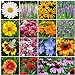 Photo All Perennial Wildflower Seed Mix - 1/4 Pound, Mixed, Attracts Pollinators, Attracts Hummingbirds, Easy to Grow & Maintain new bestseller 2024-2023