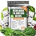 Photo Heirloom Non-GMO Lettuce and Greens Seeds Variety Pack for Outdoor and Indoor Gardening & Hydroponics, 5000+ Seeds - Kale, Butter, Oak, Spinach, Romaine Bibb & More new bestseller 2024-2023