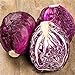 Photo RattleFree Cabbage Seeds for Planting | Heirloom & Non-GMO | 500 Red Acre Cabbage Vegetable Seeds for Planting Home Gardens | Growing Instructions Included on Planting Packets new bestseller 2024-2023