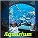 Photo Aquarium new bestseller 2024-2023